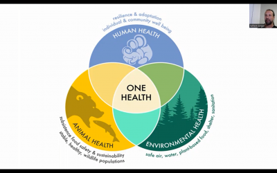 One World-One health-De bijzondere rol van Nederland-Deel 2
